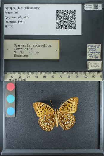 Media type: image;   Entomology 192112
